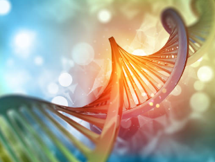 Oxford Nanopore 靶向测序