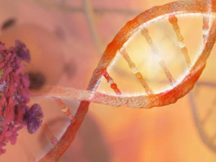 White paper - RNA sequencing